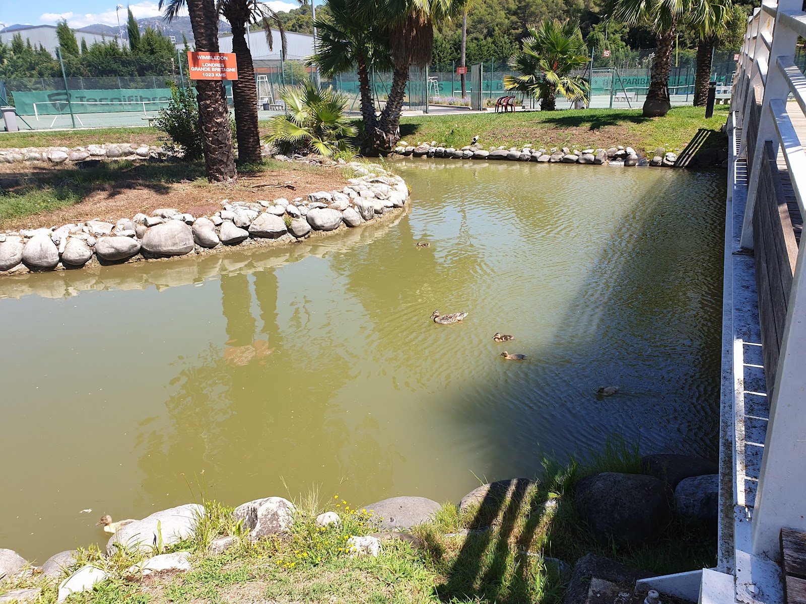 Complexe Sportif des Combes