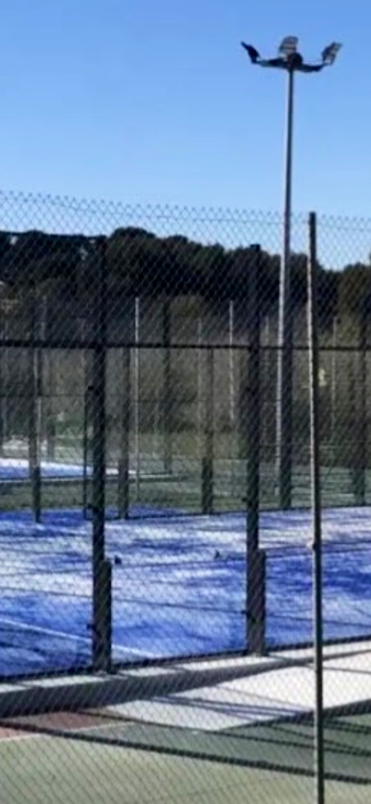 Padel des 11&12 - Richard Miron