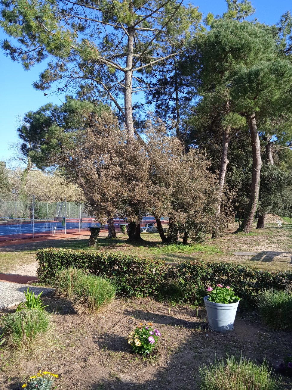 T.C.B.I Tennis et Padel