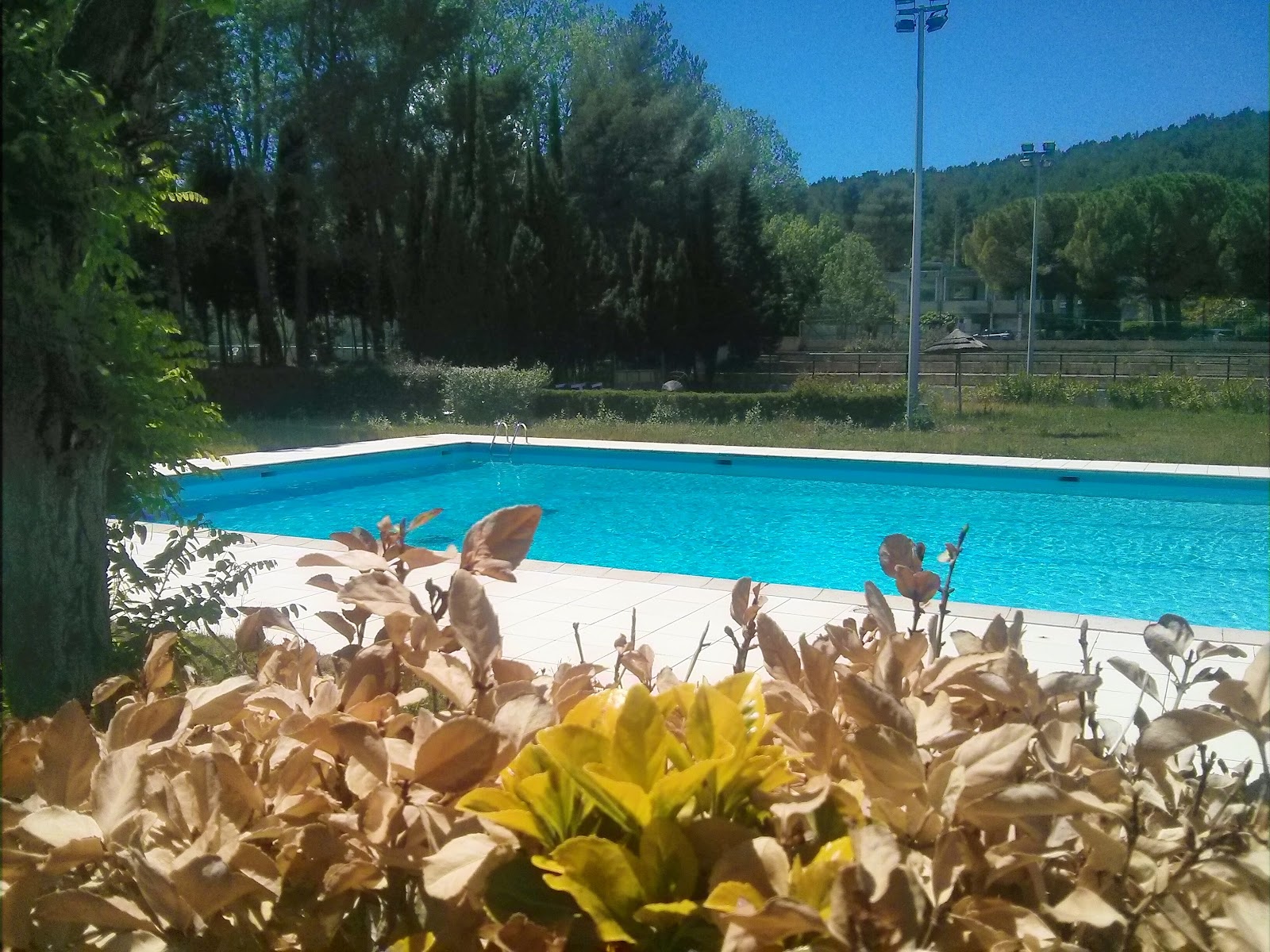 Tennis Academy de Luminy | Tennis & Padel