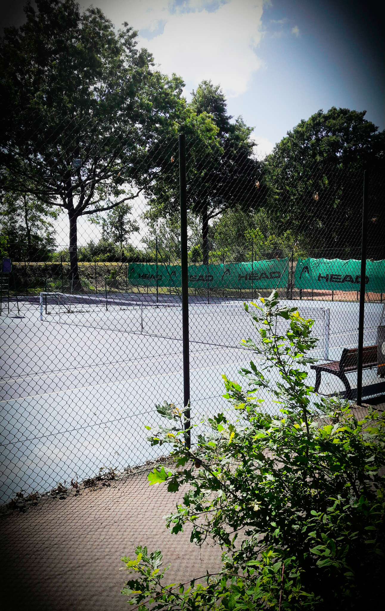 Tennis Entente Yonnaise Padel