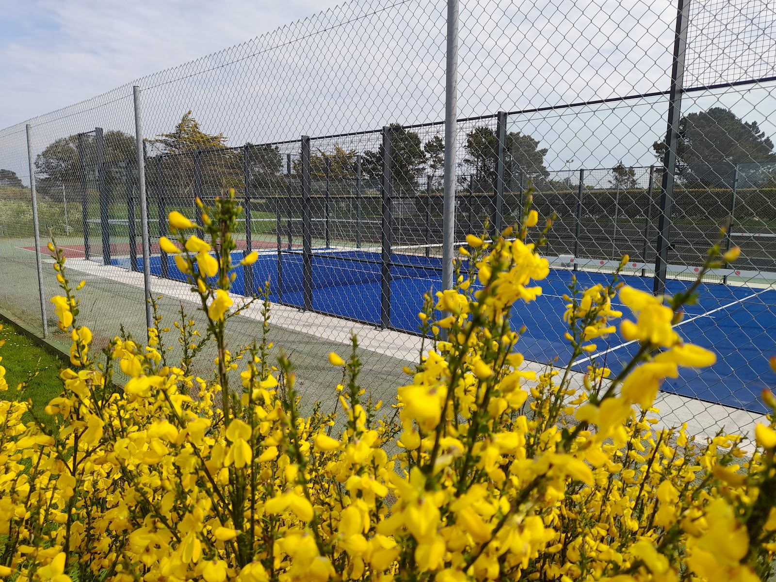 Terrain de Padel