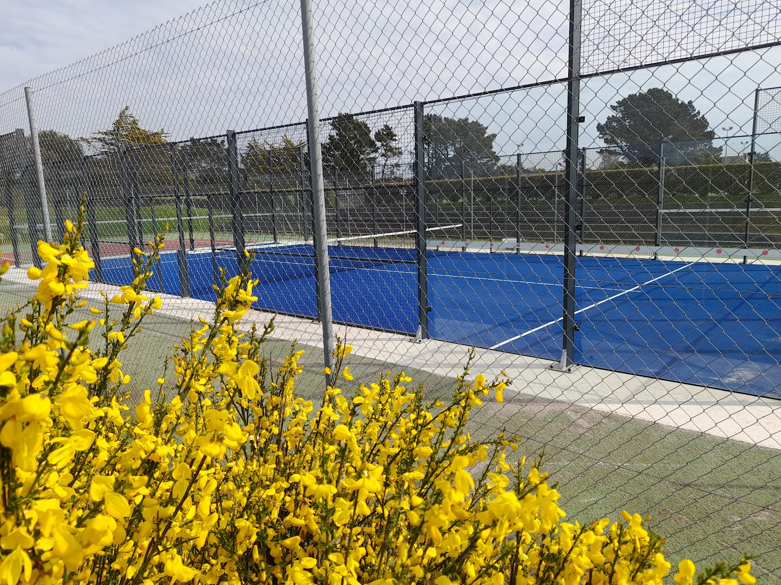 Terrain de Padel