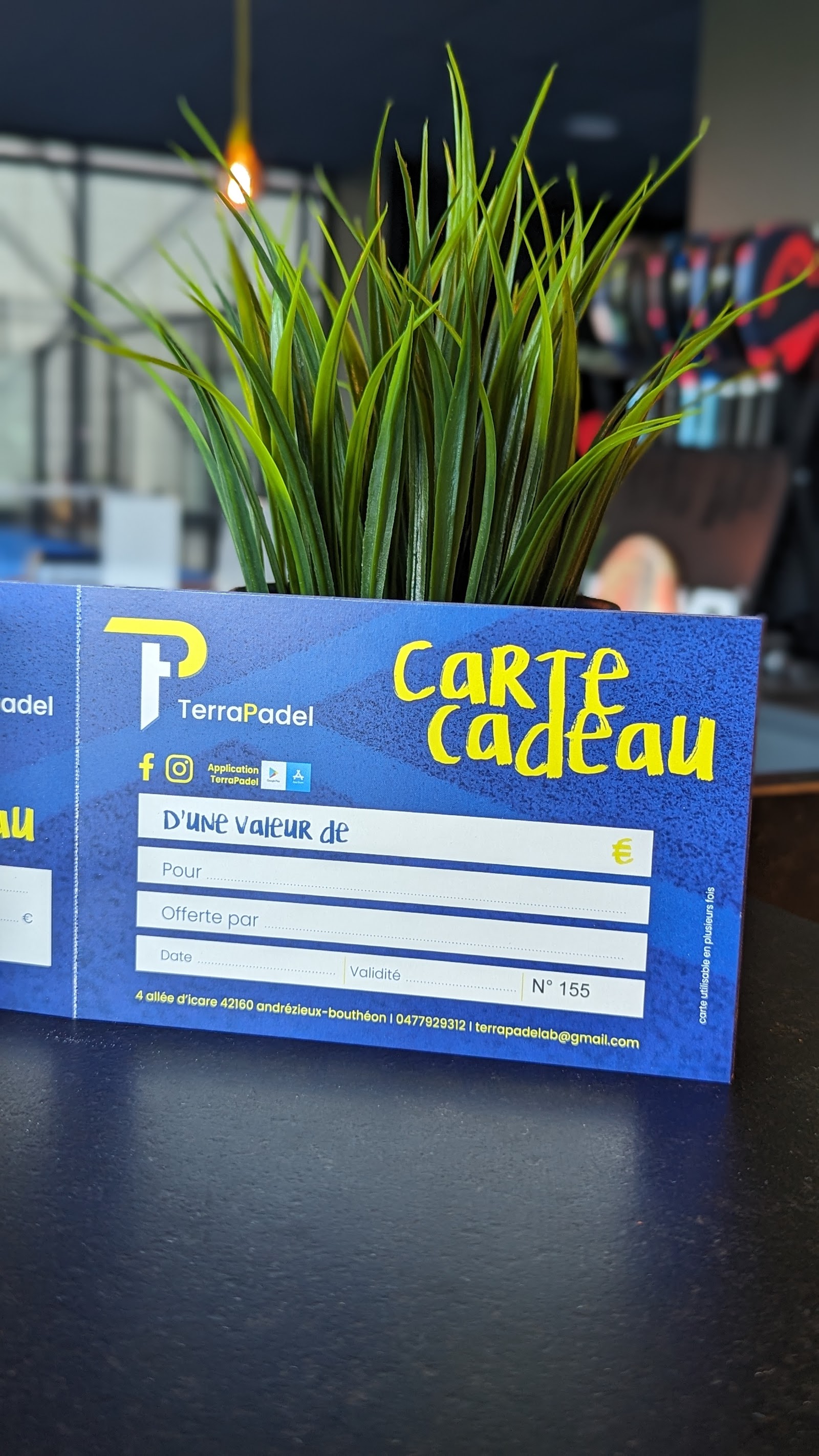 TERRAPADEL