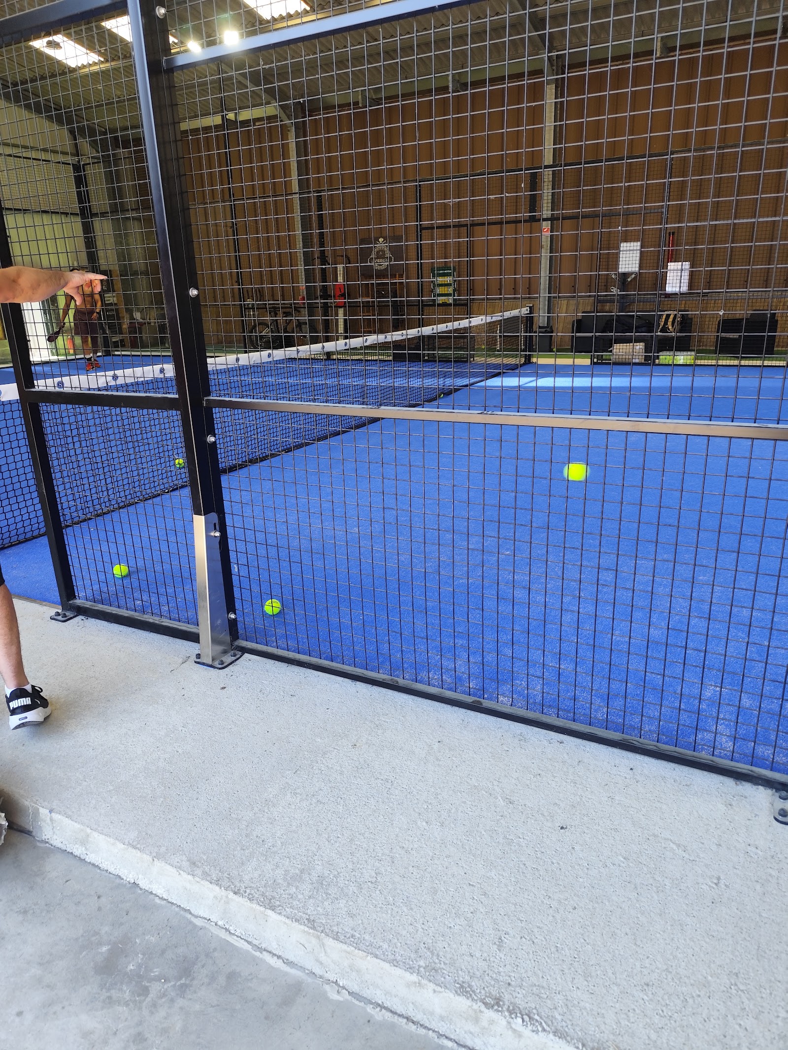 Ty Padel